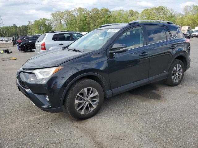 Vin: jtmrjrev6gd013724, lot: 56119665, toyota rav4 xle 2016 img_1