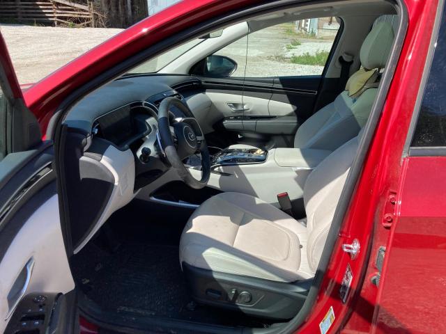 2023 HYUNDAI TUCSON LUX KM8JCCA16PU097062