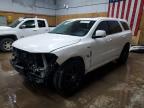 Top Destinations for Shipping Cars from the USA