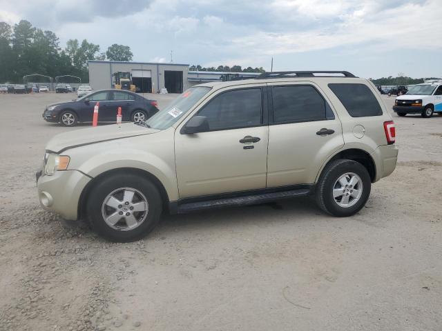 Vin: 1fmcu0d72akc65383, lot: 57396065, ford escape xlt 2010 img_1