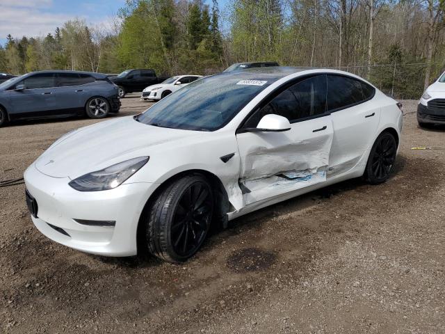 Vin: 5yj3e1ea3mf848645, lot: 55831375, tesla model 3 2021 img_1
