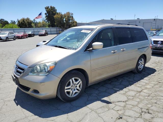 HONDA ODYSSEY EX 2005 gold  gas 5FNRL38625B045152 photo #1
