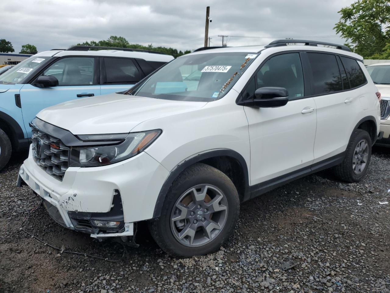 HONDA PASSPORT TRAIL SPORT
