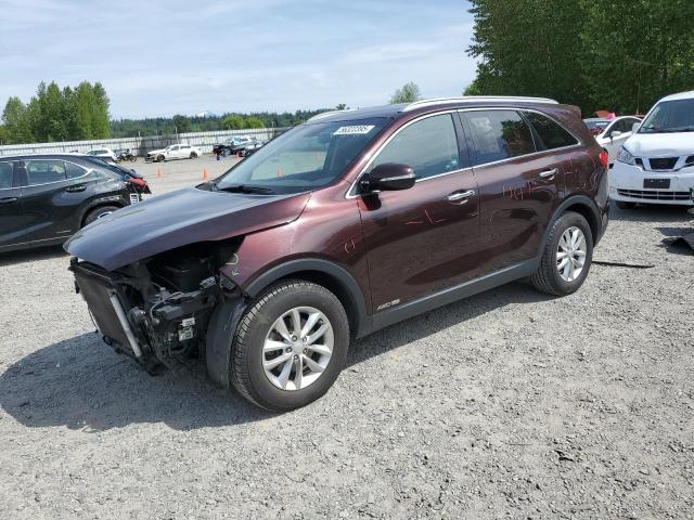 Vin: 5xypgda51gg043732, lot: 56322395, kia sorento lx 2016 img_1