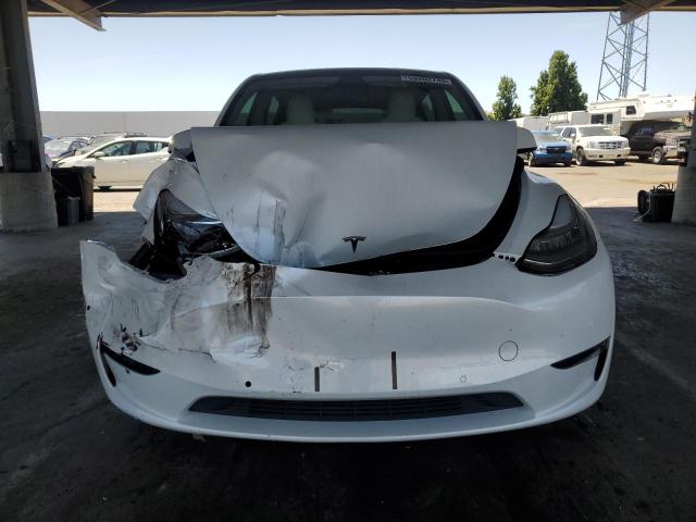 2021 TESLA MODEL Y - 5YJYGDEE8MF279831