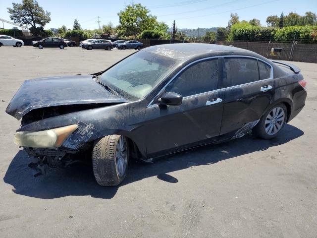 Vin: 1hgcp3f87ba001328, lot: 58135325, honda accord exl 2011 img_1