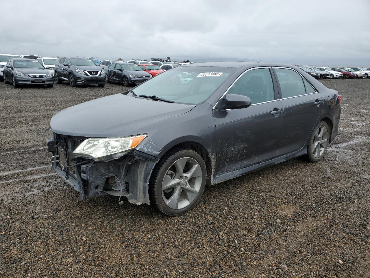 TOYOTA CAMRY SE