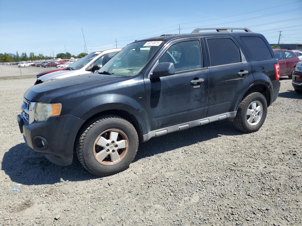FORD ESCAPE XLT
