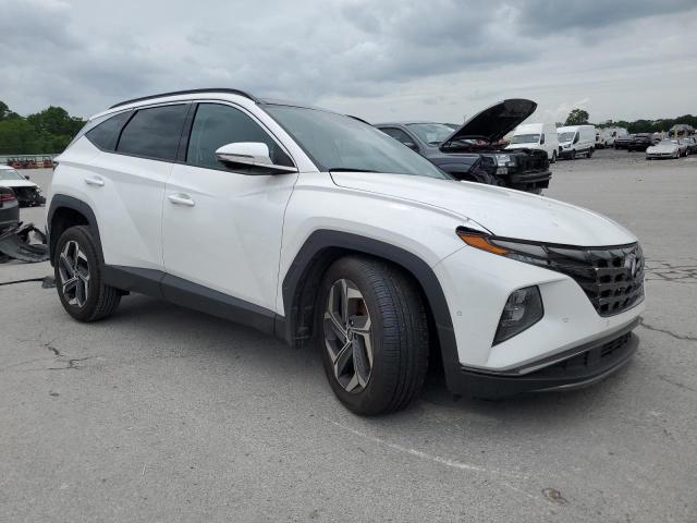 Vin: 5nmje3ae1ph239228, lot: 55158255, hyundai tucson limited 20234