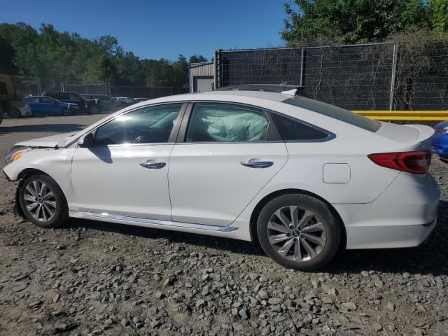 2017 HYUNDAI SONATA SPO 5NPE34AF8HH536149
