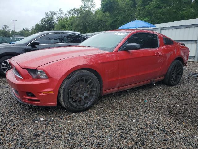 Vin: 1zvbp8am4d5256071, lot: 56126295, ford all models 2013 img_1