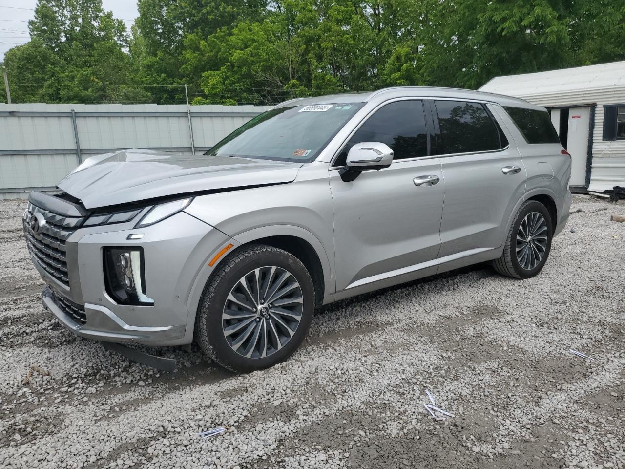 HYUNDAI PALISADE CALLIGRAPHY