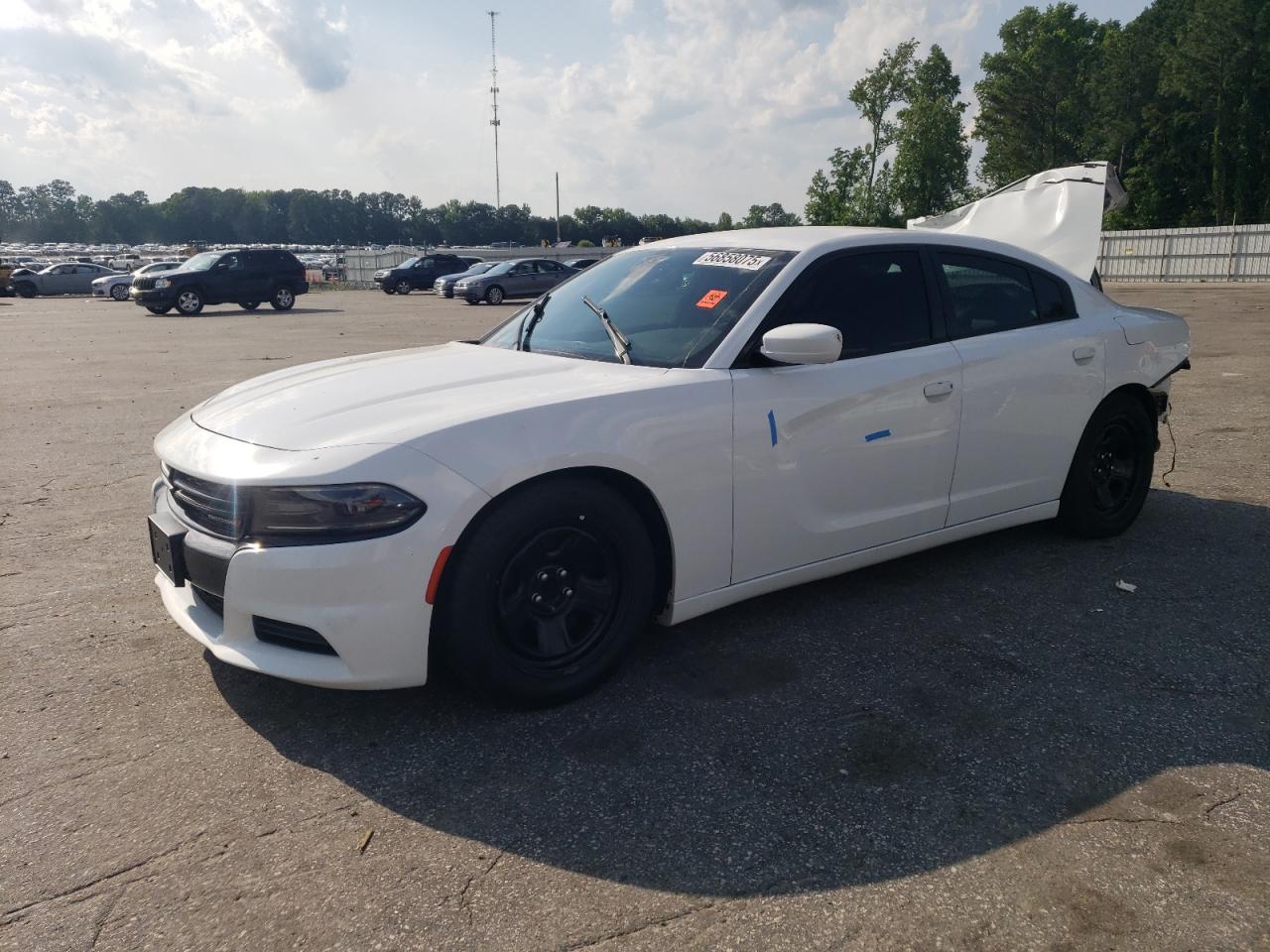 DODGE CHARGER POLICE