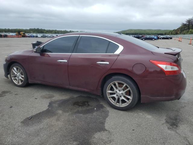 Vin: 1n4aa5apxbc833631, lot: 57619135, nissan maxima s 20112