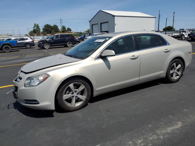 CHEVROLET MALIBU 2LT