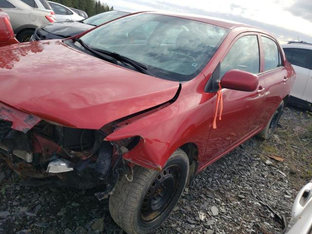 Vin: 2t1bu4eexac428528, lot: 51238675, toyota corolla base 2010 img_1