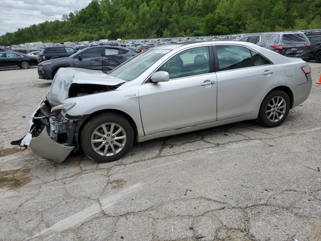 TOYOTA CAMRY HYBRID