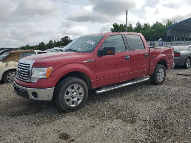 Vin: 1ftew1c81afc27935, lot: 55038815, ford f-150 supercrew 2010 img_1
