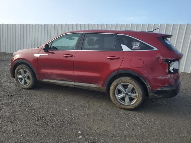 Vin: 5xyrg4lc4mg017318, lot: 56496775, kia sorento lx 20212