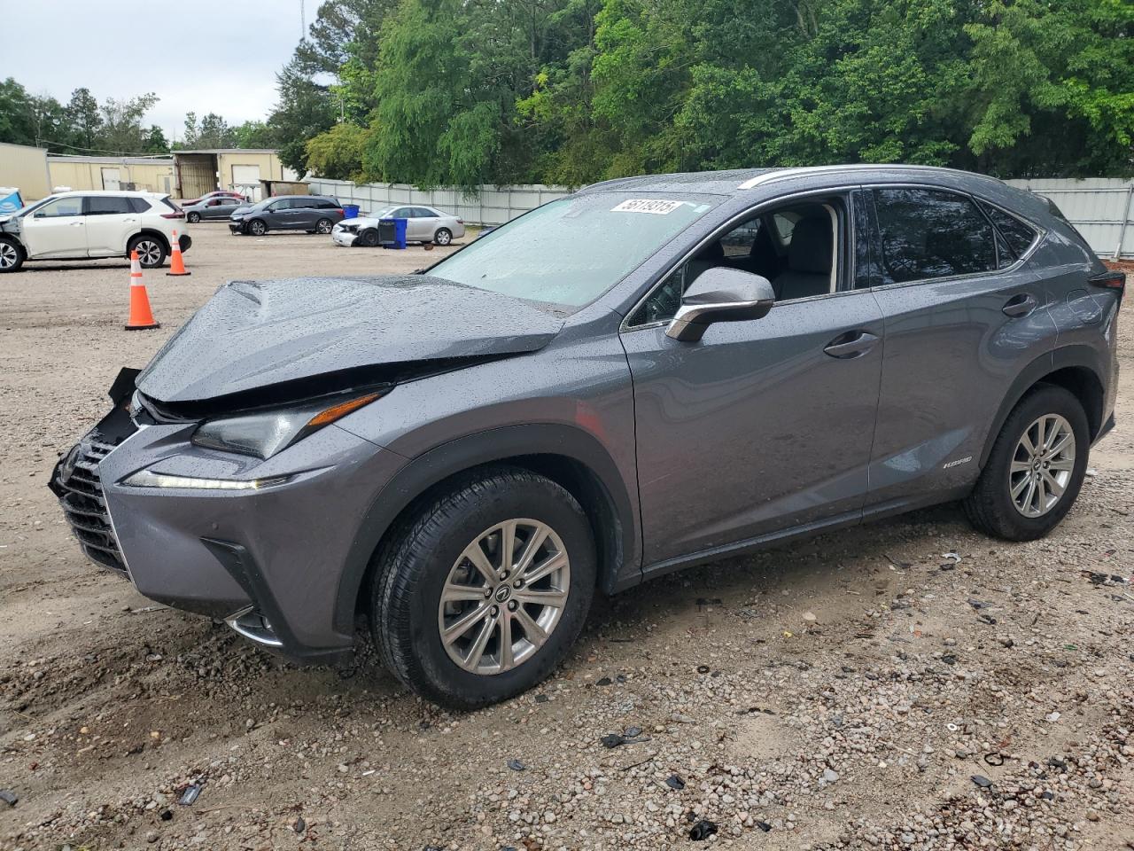 LEXUS NX 300H BASE
