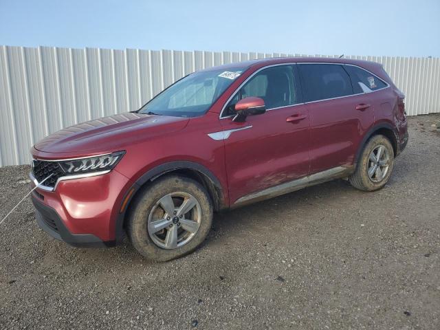 Vin: 5xyrg4lc4mg017318, lot: 56496775, kia sorento lx 2021 img_1