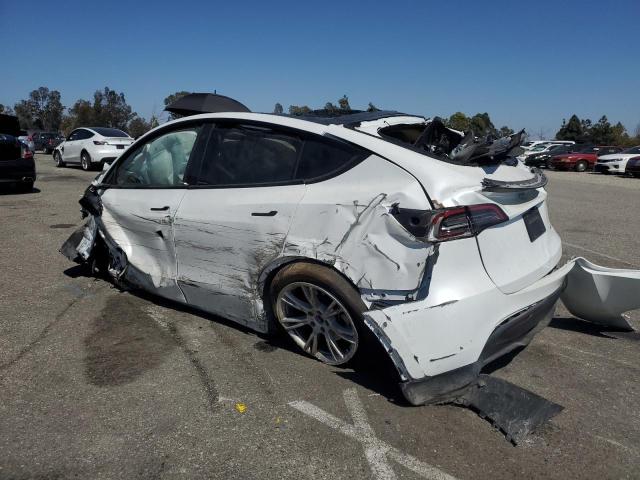 Vin: 7saygdee3pa077841, lot: 54535215, tesla model y 20232