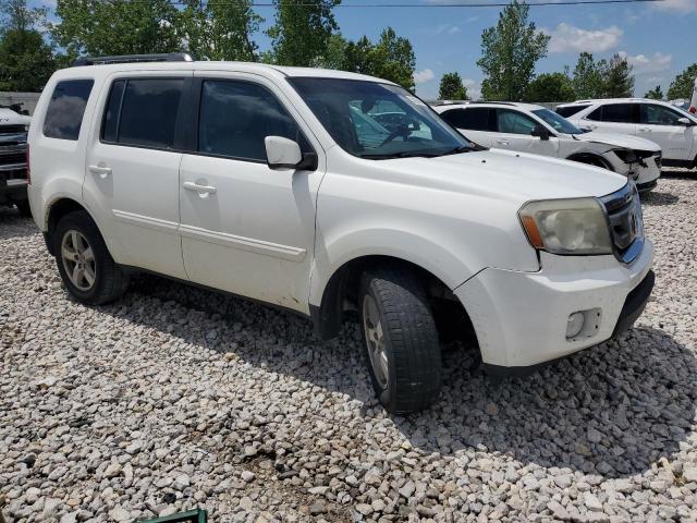 2011 HONDA PILOT EXL - 5FNYF4H58BB077101
