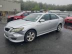 Top Destinations for Shipping Cars from the USA