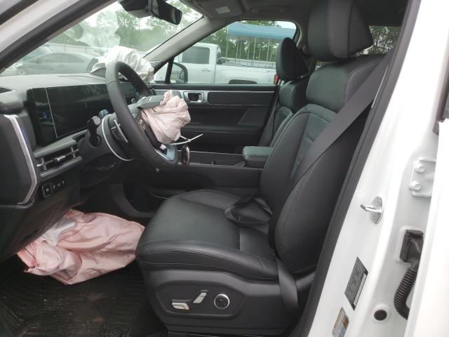 2025 HYUNDAI SANTA FE L 5NMP3DG18SH031687