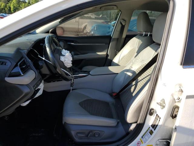 2019 TOYOTA CAMRY - 4T1B11HK8KU193653