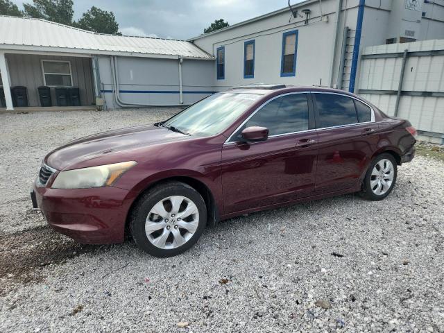 Vin: 1hgcp2f8xaa016463, lot: 58198045, honda accord exl 2010 img_1