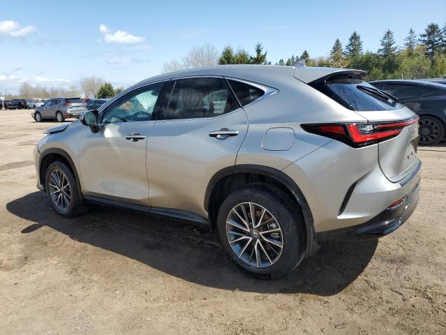 Vin: 2t2adcez0sc006175, lot: 49885215, lexus nx 250 bas 250 base 20252