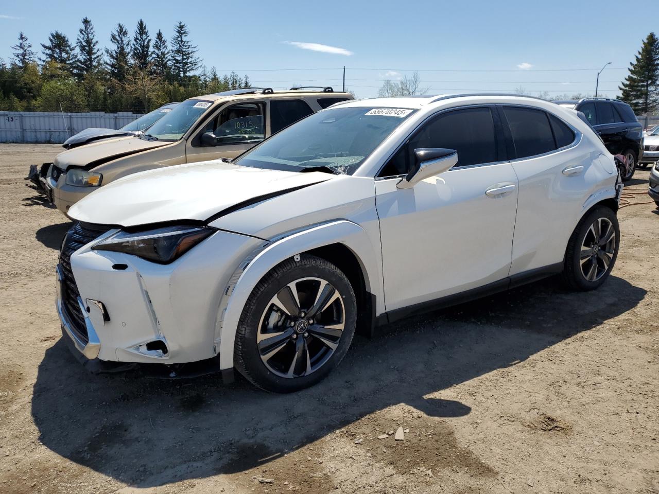 LEXUS UX 300H BASE