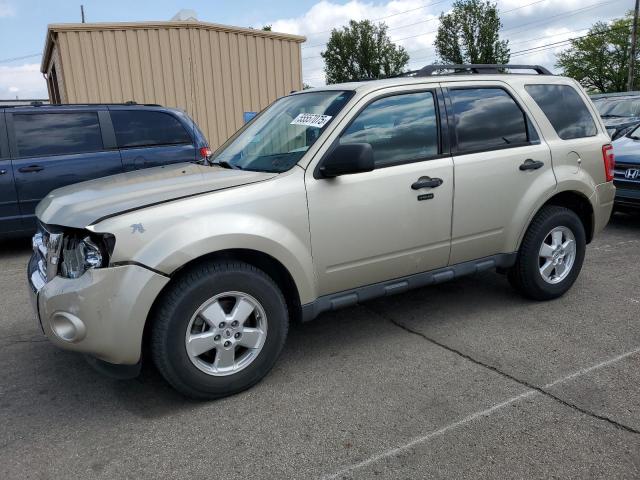 Vin: 1fmcu0d73cka04234, lot: 55557075, ford escape xlt 2012 img_1