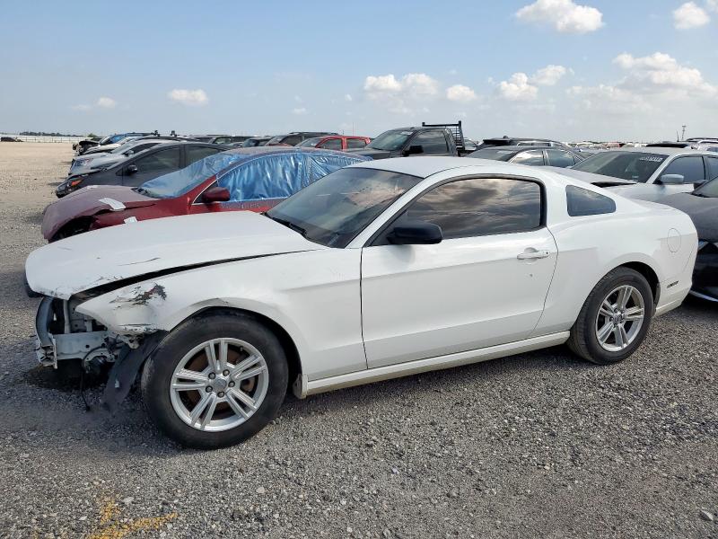 2013 FORD MUSTANG - 1ZVBP8AM1D5279002