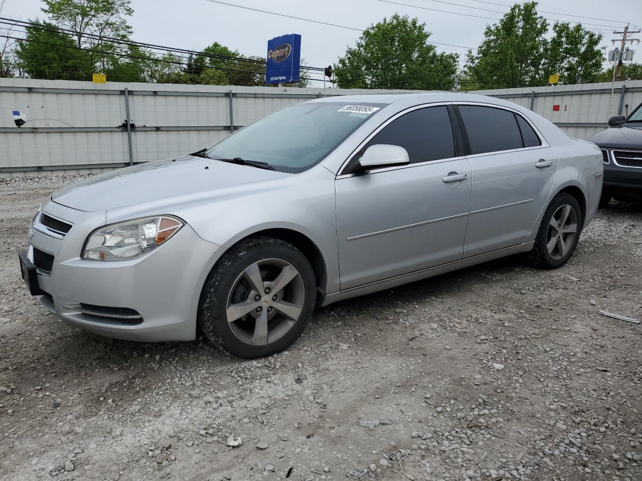 CHEVROLET MALIBU 1LT