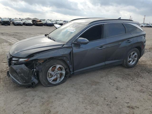 Vin: 5nmjb3ae0ph266624, lot: 55395265, hyundai tucson sel 2023 img_1