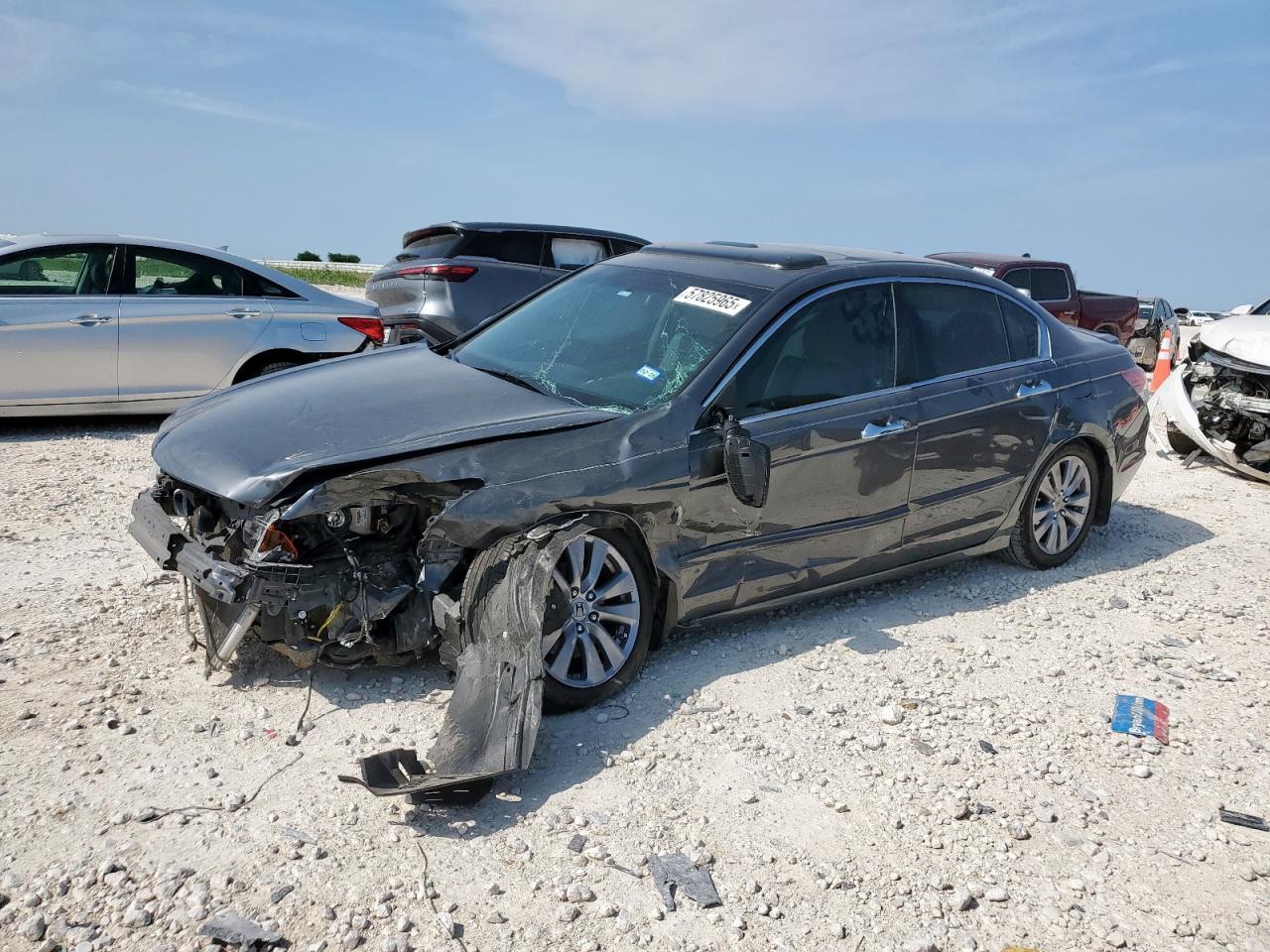 HONDA ACCORD EXL