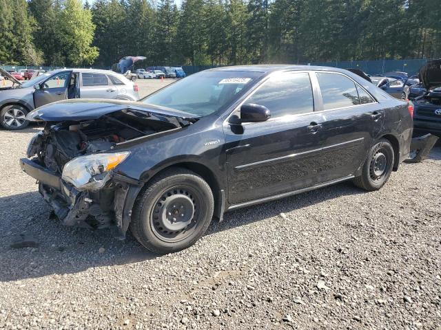 Vin: 4t1bd1fk6du069944, lot: 56516425, toyota camry hybrid 2013 img_1