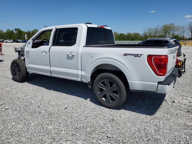 Vin: 1ftew1ep3pfa87254, lot: 56513795, ford f-150 supercrew 20232