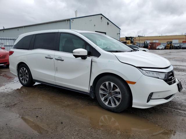 Vin: 5fnrl6h62nb502754, lot: 56229735, honda all models exl 20224