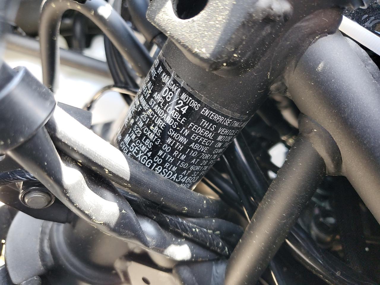 Global Auto Auctions