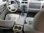 Lot #3301747368 2008 FORD ESCAPE