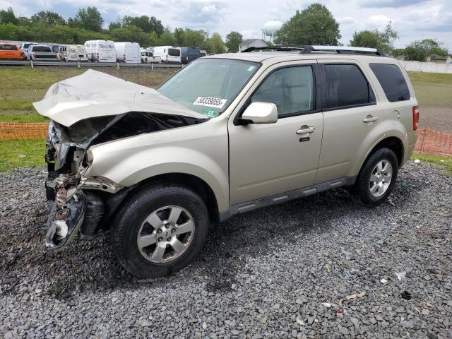 Vin: 1fmcu9e75bka18623, lot: 58339055, ford escape limited 2011 img_1
