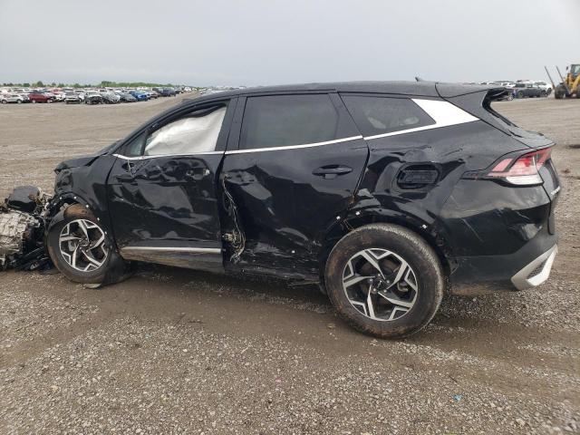 Vin: kndpu3af3p7039609, lot: 55580805, kia sportage lx 20232