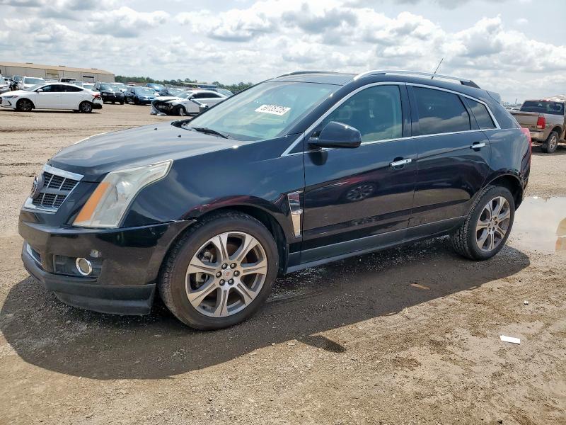 CADILLAC SRX PERFOR 2012 black  gas 3GYFNBE32CS655956 photo #1