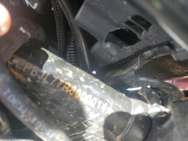 2024 CF MOTO PAPIO CL - LCEPBJL77R6000014