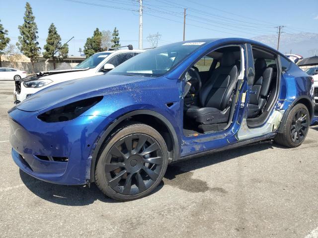 Vin: 5yjygaee3mf223021, lot: 55849835, tesla model y 2021 img_1