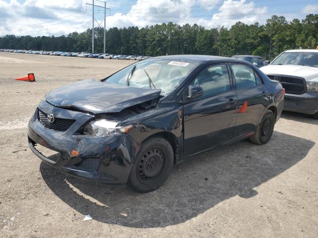 Vin: 1nxbu4ee5az256312, lot: 56663585, toyota corolla base 2010 img_1