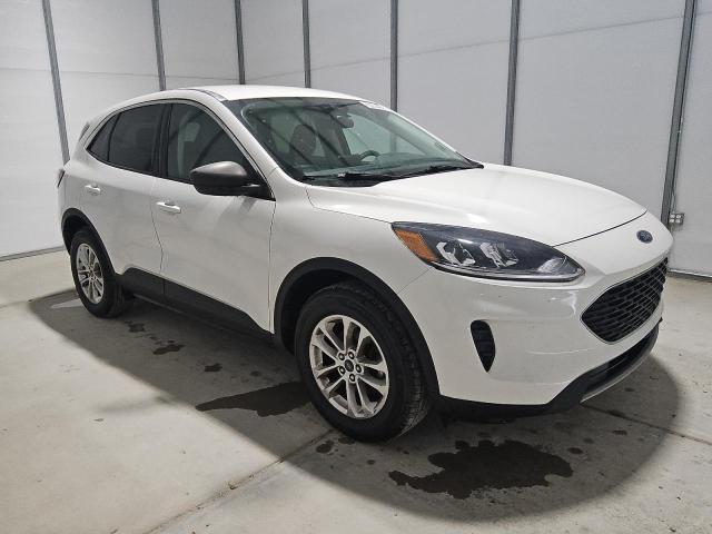 Vin: 1fmcu9g64nua61055, lot: 57047515, ford escape se 20224